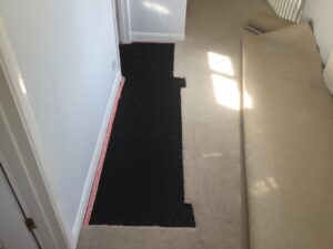 Carpet patch & replace progress